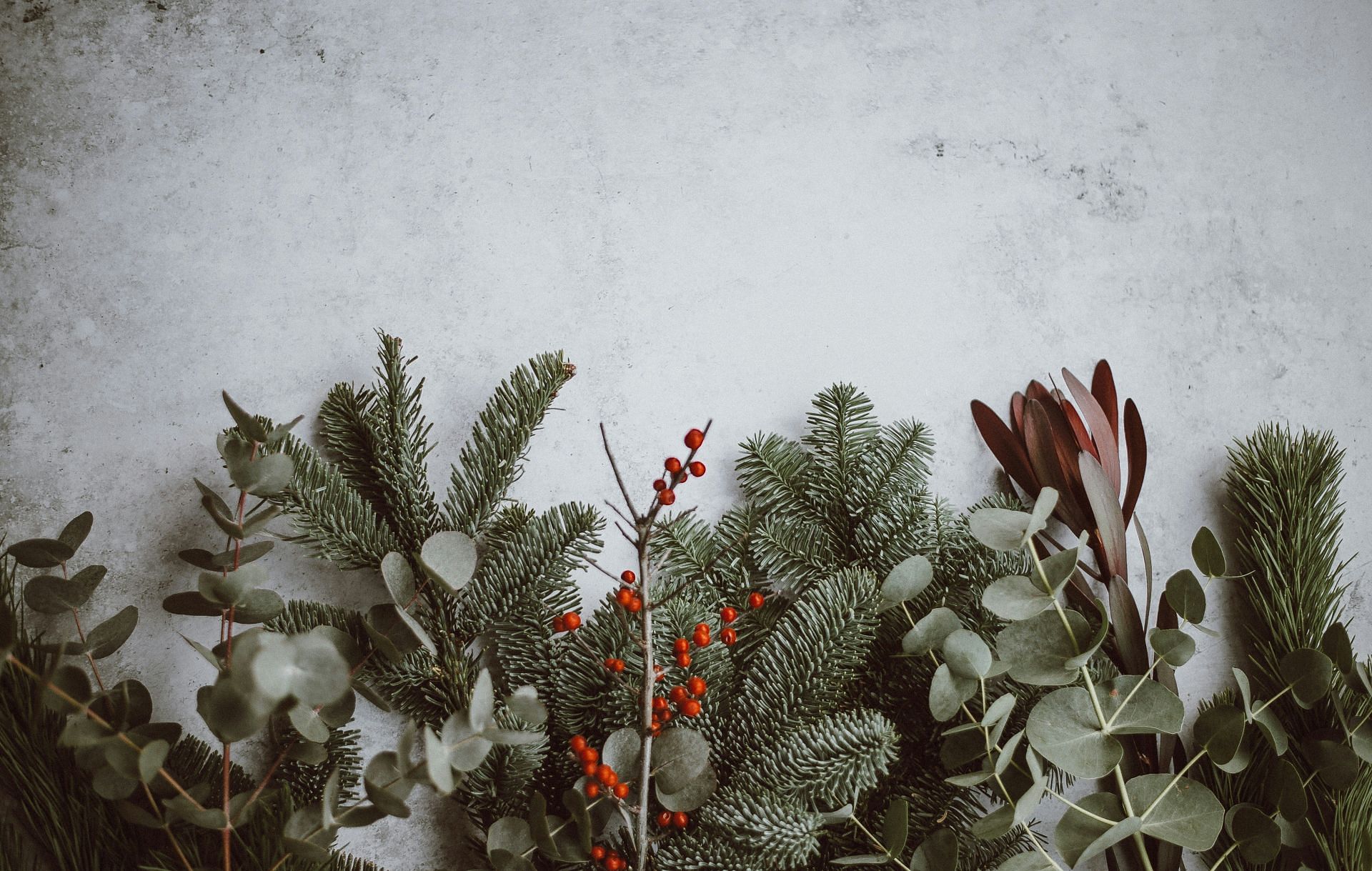 Christmas (Image via Unsplash/Annie Spratt)